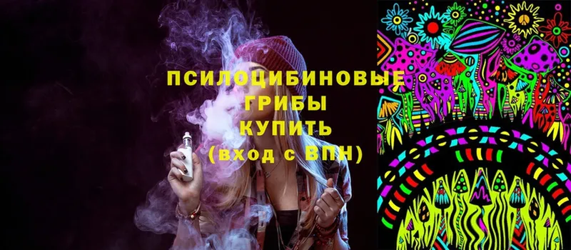 Галлюциногенные грибы Magic Shrooms  Камень-на-Оби 